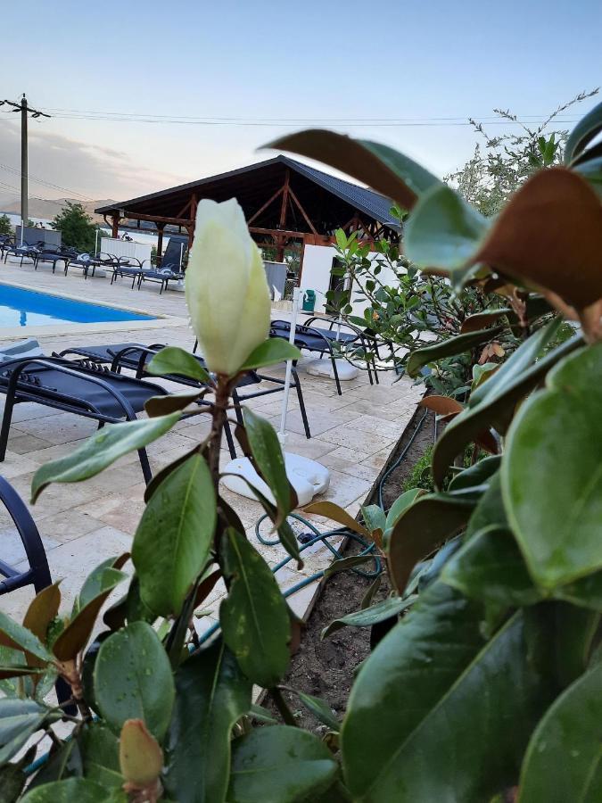 Clisura Dunarii - Pensiunea Casa Creta Liborajdea Ngoại thất bức ảnh